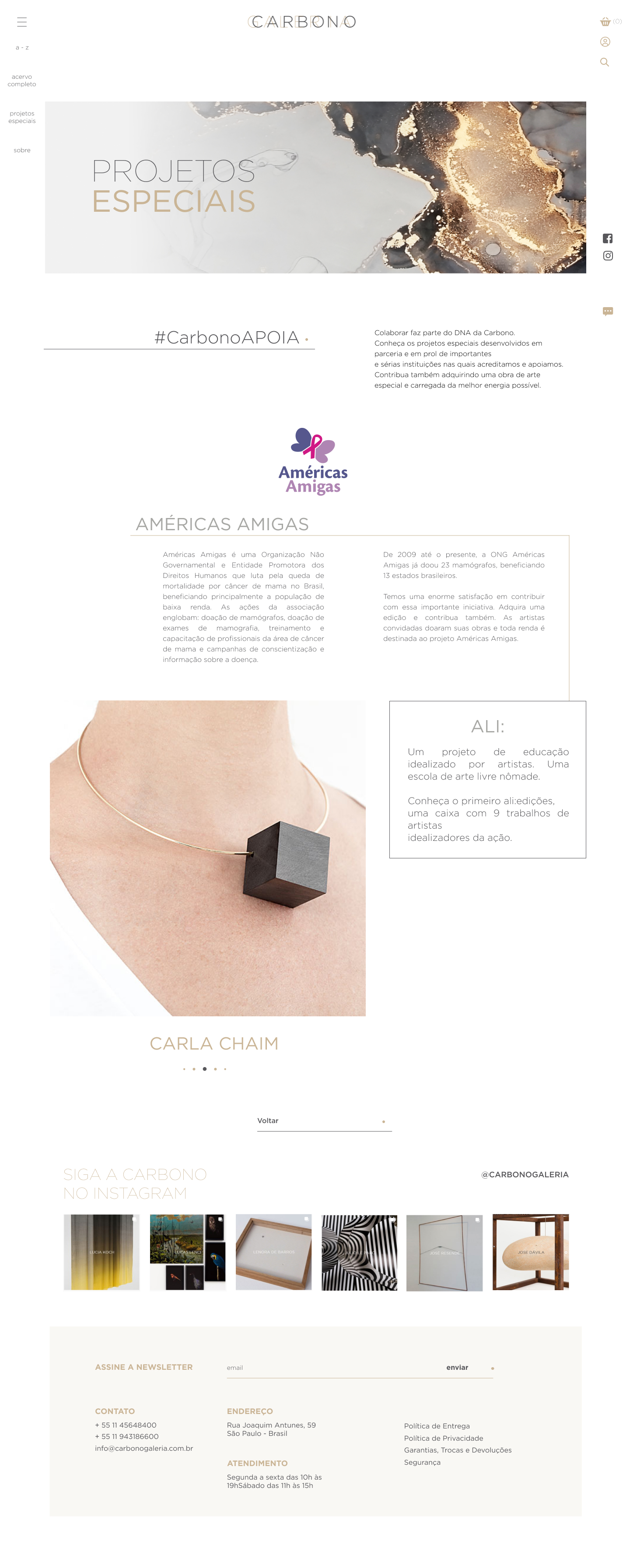 Special project Americas
